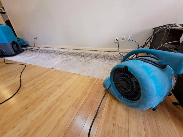 Professional Flood Damage Cleanup technician working in Brinklow, MD